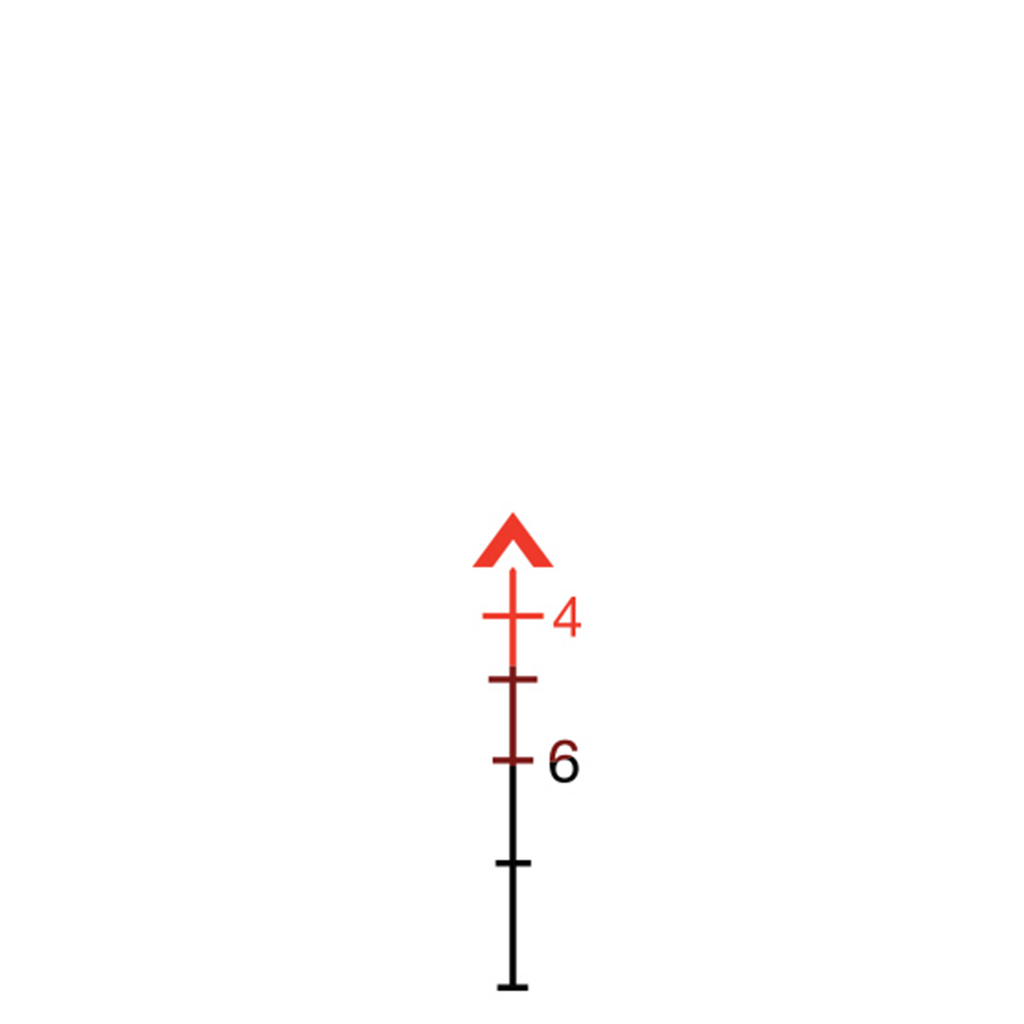 AIMTECHX™ ACOG Style Rifle Scope