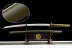 Sword of Conquest