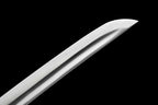 Sword of Conquest