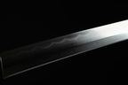 Hand Forged Japanese Samurai Katana Frog Prince Pattern Steel Gilt Silver Guard