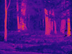 Pit Viper Thermal Rifle Scope
